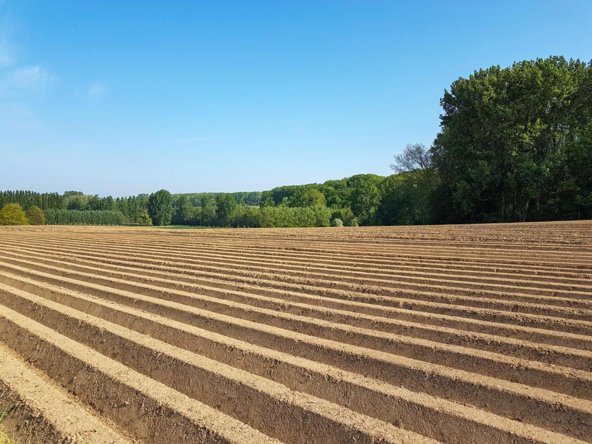 Vakantiewoning Hakuna Matata Geraardsbergen Exteriör bild