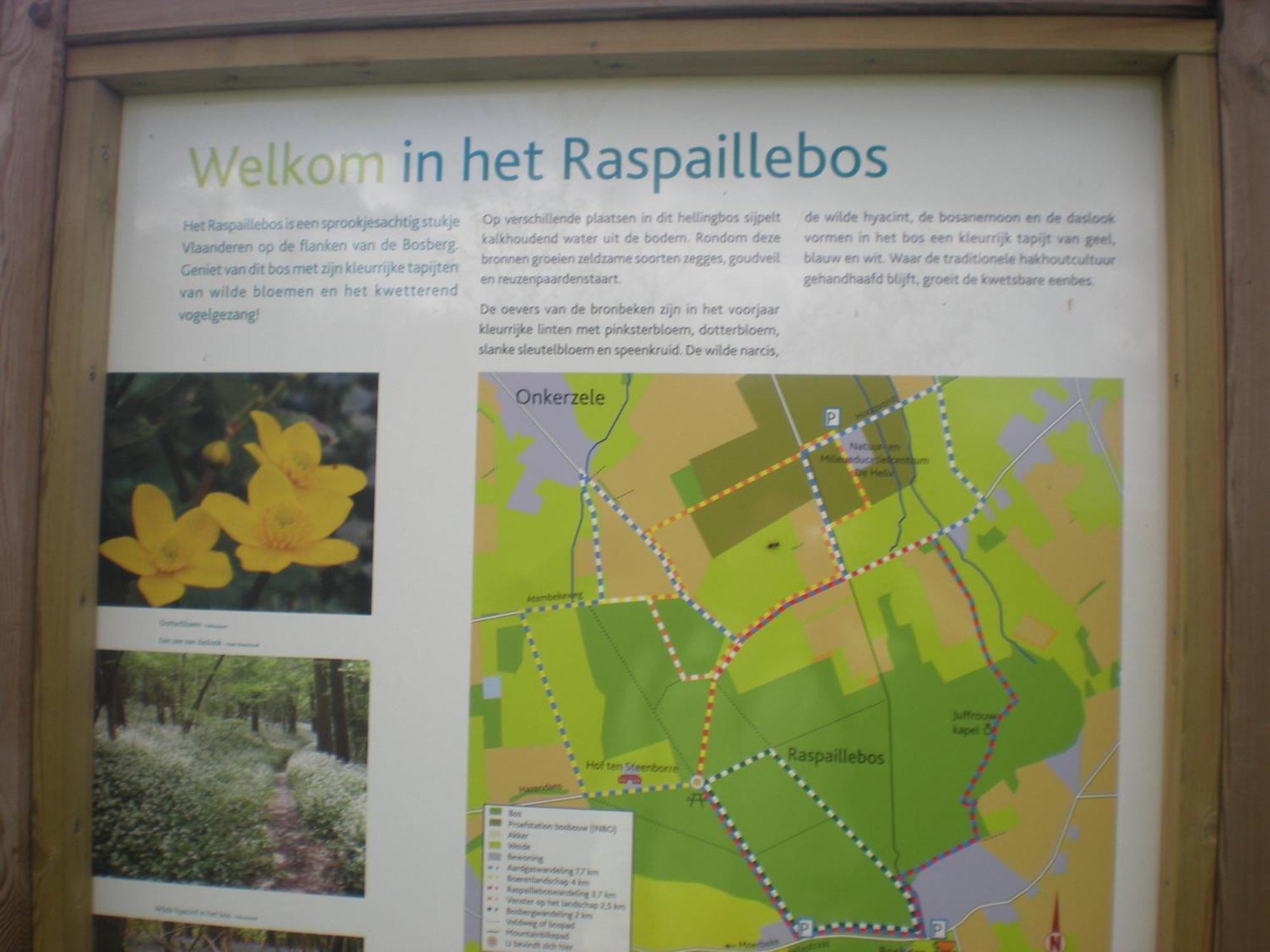 Vakantiewoning Hakuna Matata Geraardsbergen Exteriör bild